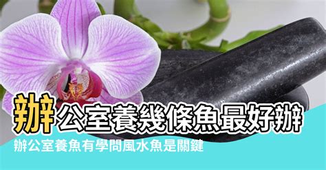 養蛇風水|辦公室出現一條活蛇的風水好不好？養蛇的風水好不好？